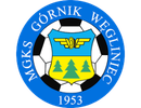 Górnik Węgliniec Herb