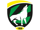 Wilkowianka Wilków Herb